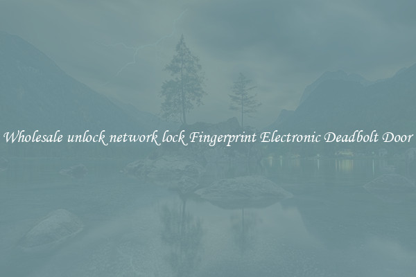 Wholesale unlock network lock Fingerprint Electronic Deadbolt Door 