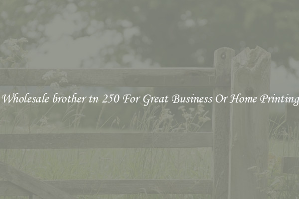 Wholesale brother tn 250 For Great Business Or Home Printing