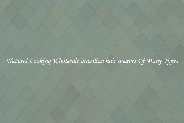 Natural Looking Wholesale brazilian hair weaves Of Many Types
