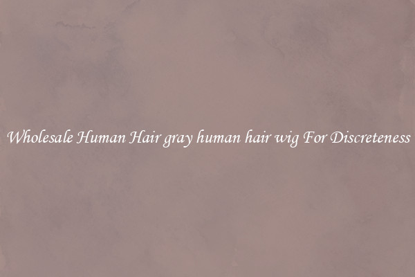 Wholesale Human Hair gray human hair wig For Discreteness