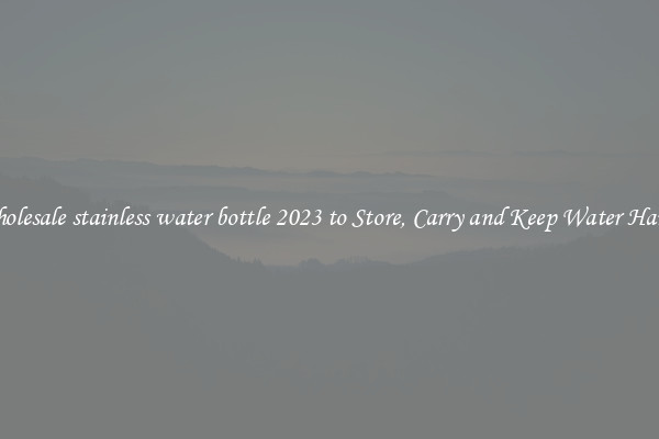 Wholesale stainless water bottle 2023 to Store, Carry and Keep Water Handy