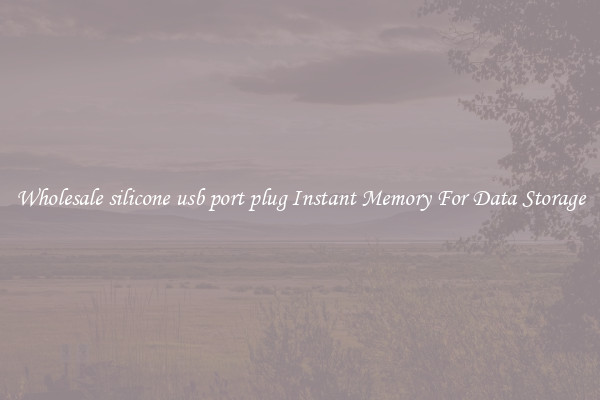 Wholesale silicone usb port plug Instant Memory For Data Storage