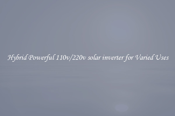 Hybrid Powerful 110v/220v solar inverter for Varied Uses