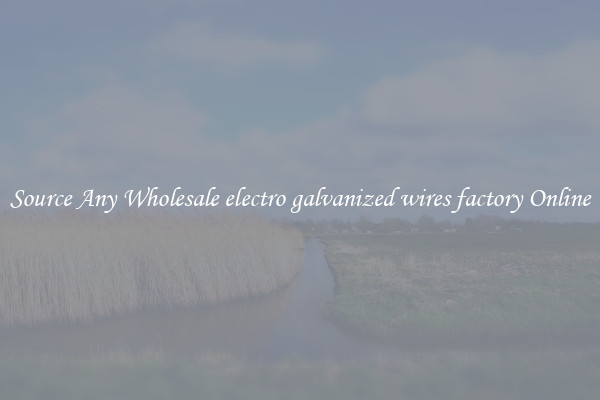 Source Any Wholesale electro galvanized wires factory Online
