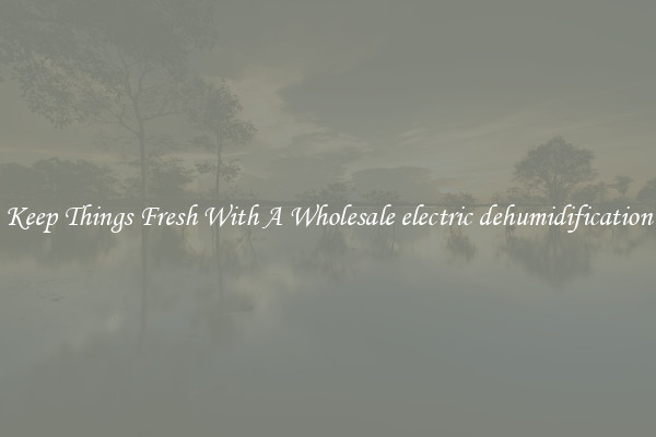 Keep Things Fresh With A Wholesale electric dehumidification
