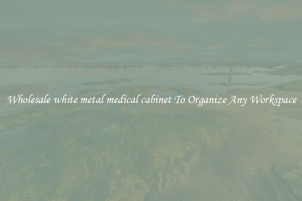Wholesale white metal medical cabinet To Organize Any Workspace