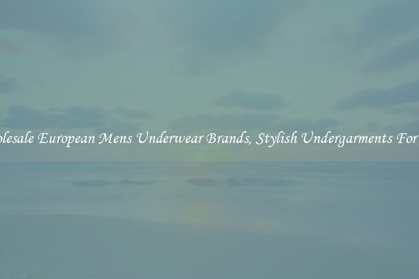 Wholesale European Mens Underwear Brands, Stylish Undergarments For Him