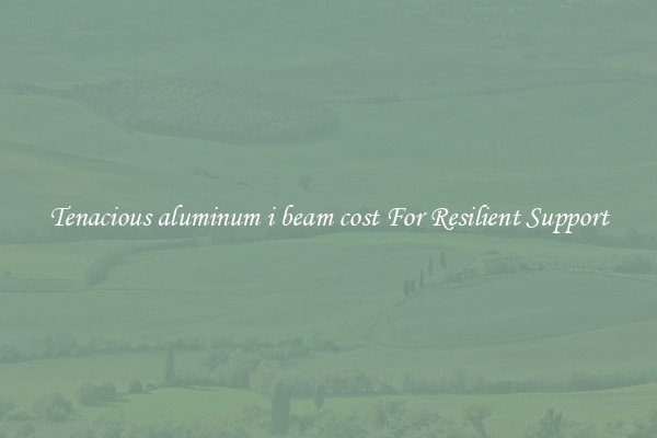Tenacious aluminum i beam cost For Resilient Support