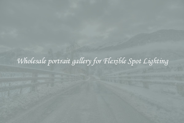 Wholesale portrait gallery for Flexible Spot Lighting