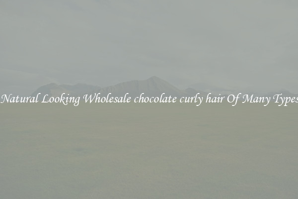 Natural Looking Wholesale chocolate curly hair Of Many Types