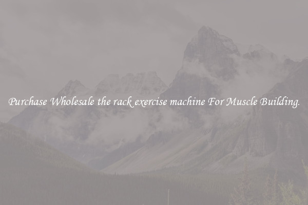 Purchase Wholesale the rack exercise machine For Muscle Building.