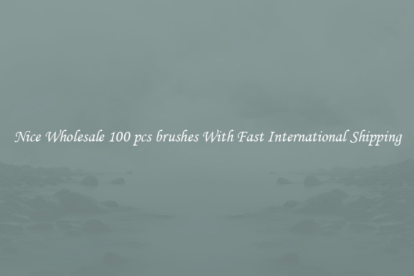 Nice Wholesale 100 pcs brushes With Fast International Shipping