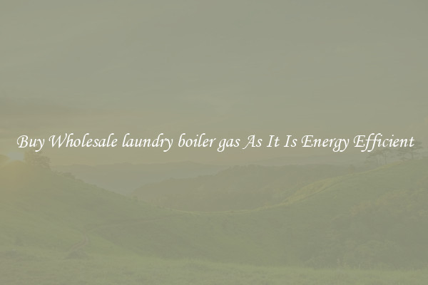 Buy Wholesale laundry boiler gas As It Is Energy Efficient