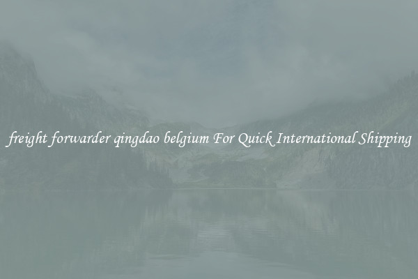 freight forwarder qingdao belgium For Quick International Shipping