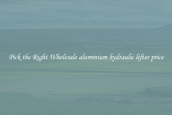 Pick the Right Wholesale aluminium hydraulic lifter price
