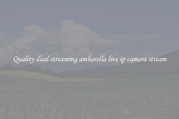 Quality dual streaming ambarella live ip camera stream