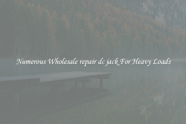 Numerous Wholesale repair dc jack For Heavy Loads