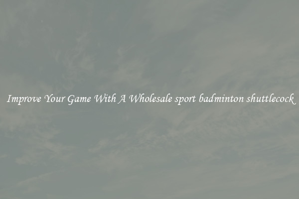 Improve Your Game With A Wholesale sport badminton shuttlecock