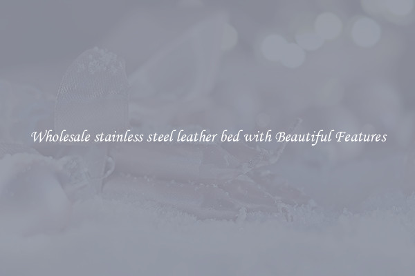 Wholesale stainless steel leather bed with Beautiful Features
