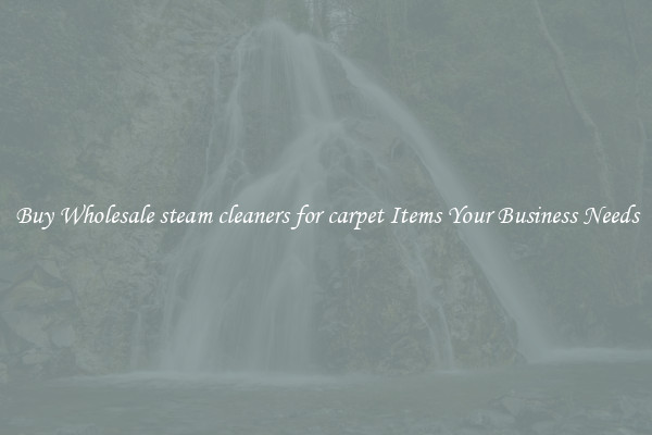 Buy Wholesale steam cleaners for carpet Items Your Business Needs