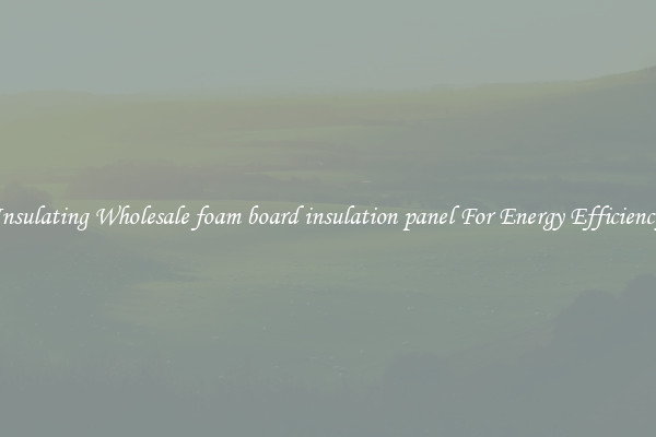 Insulating Wholesale foam board insulation panel For Energy Efficiency