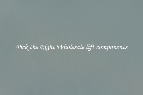 Pick the Right Wholesale lift components