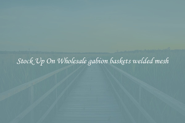 Stock Up On Wholesale gabion baskets welded mesh