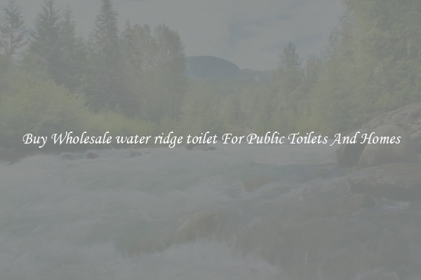 Buy Wholesale water ridge toilet For Public Toilets And Homes