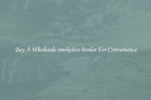 Buy A Wholesale smokeless broiler For Convenience