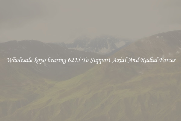 Wholesale koyo bearing 6215 To Support Axial And Radial Forces