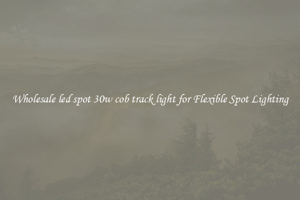 Wholesale led spot 30w cob track light for Flexible Spot Lighting